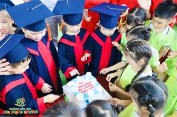 Hoa Trạng Nguyên - 